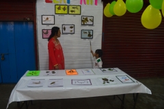 Classes 1 and 2 Presentation - Spring Fest